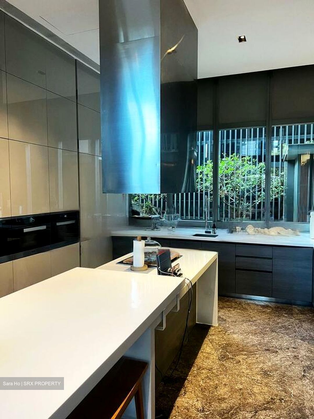 Leedon Residence (D10), Condominium #549195111